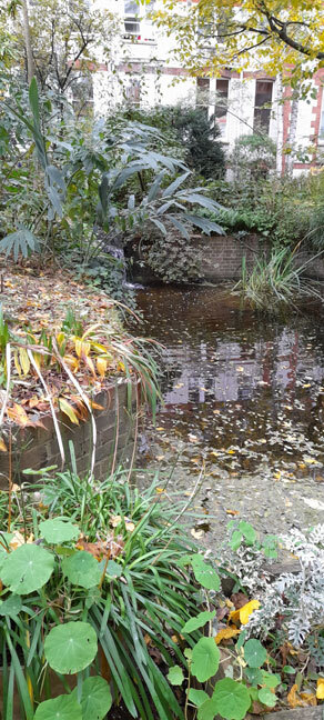 The Pool and waterfall